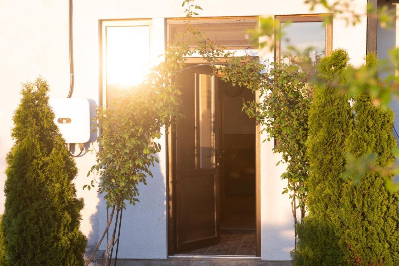 Casa Dumitrescu Hotel Navodari Exterior photo